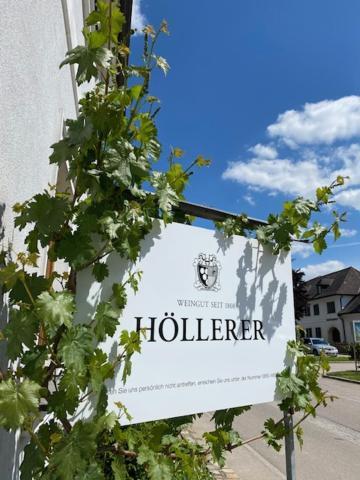 Gaestezimmer Weingut Hoellerer Engabrunn エクステリア 写真